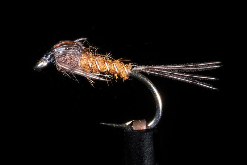 Assassin Brown Fishing Fly