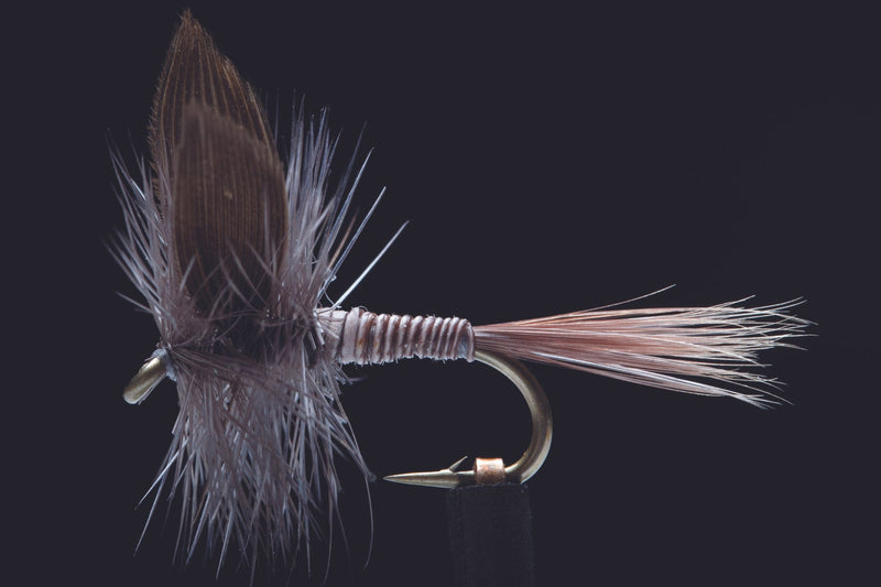 Blue Quill Fishing Fly