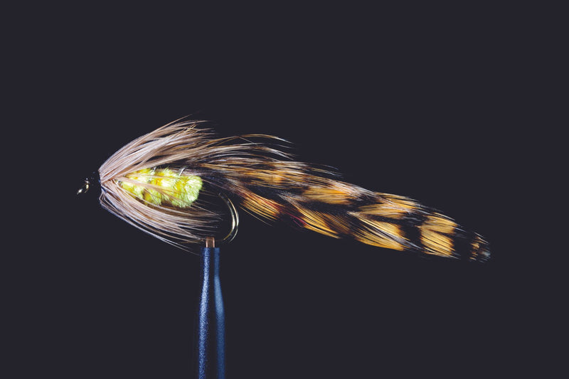 Classic Parson's Glory Fishing Fly