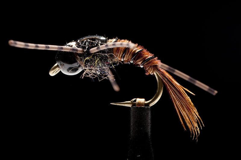 Davis' BC Stonefly PT Fishing Fly
