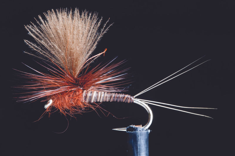 Quill Spinner Brown Fishing Fly Creel Tackle Shop