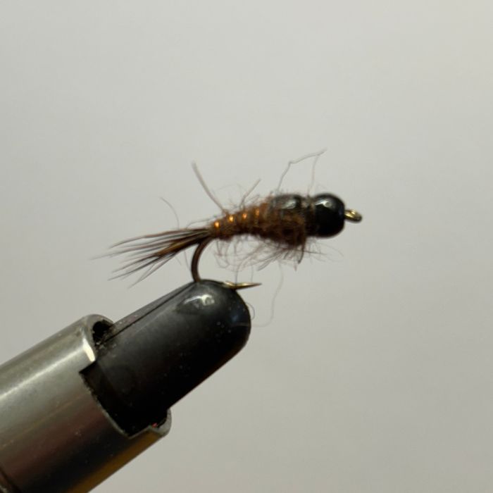 Creel Flies- Back Country Bug