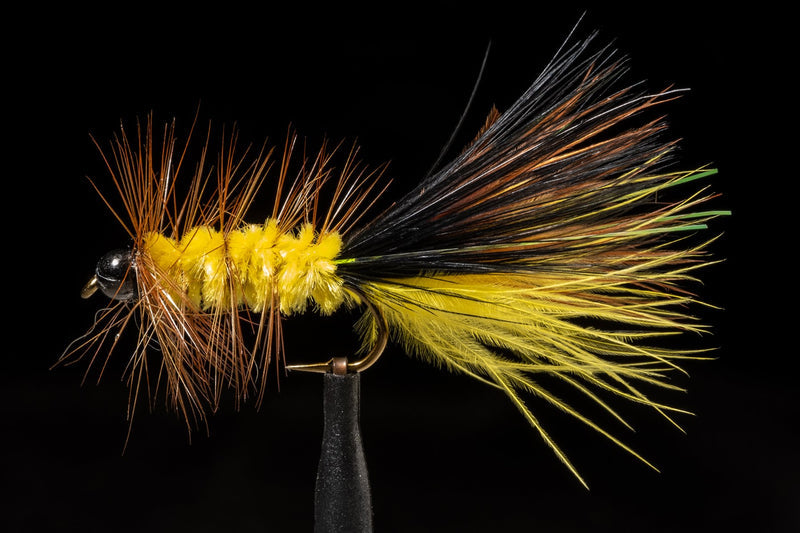 BH Cleveland Streamer Fishing Fly