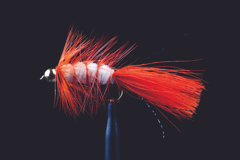 BH Woolly Bugger Rudd Fishing Fly