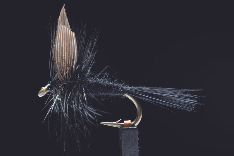 Black Gnat Fishing Fly