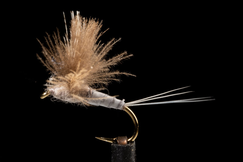 CDC Biot Comparadun Grey Fishing Fly