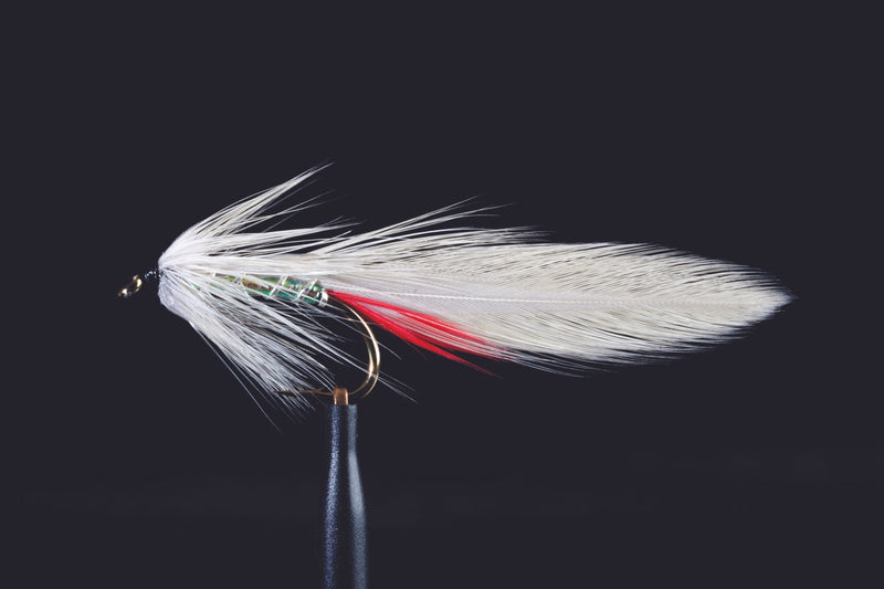 Classic Grey Ghost Fishing Fly
