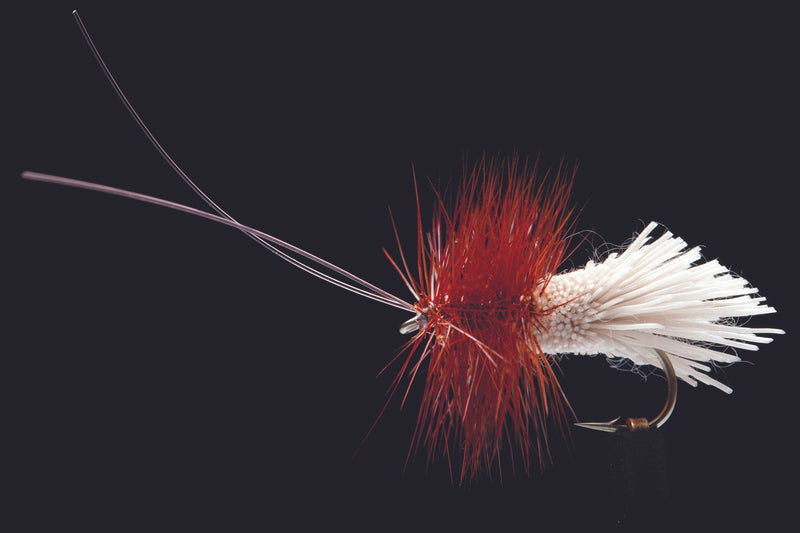 Goddard's Caddis Fishing Fly | Manic Fly Collection