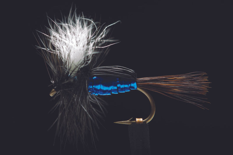 Humpy Blue Bottle Fishing Fly