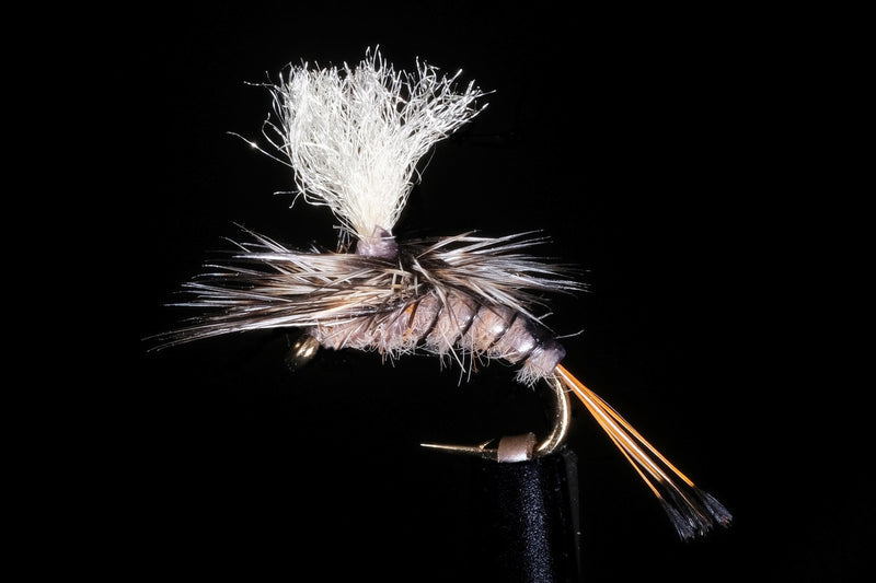 Kyle's Nesameletus Emerger Fishing Fly