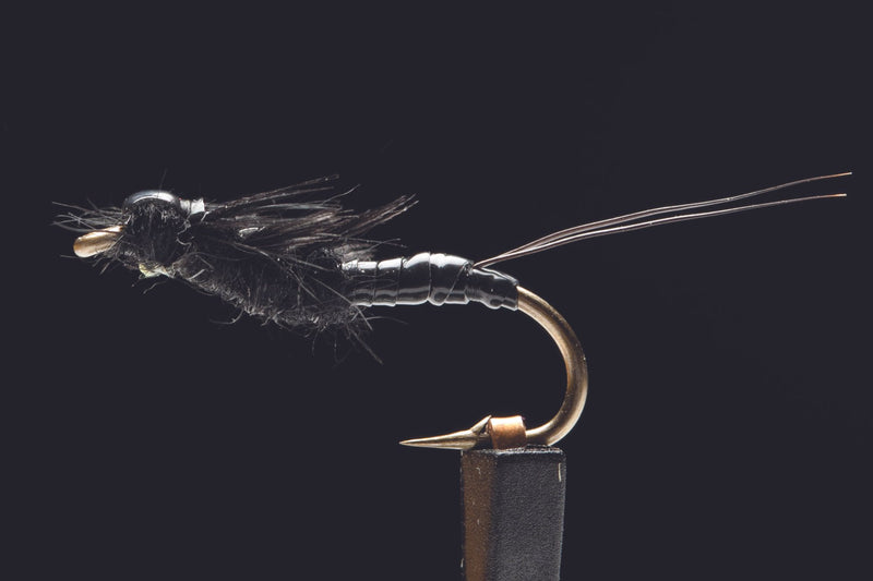 Little Black Stonefly Fishing Fly