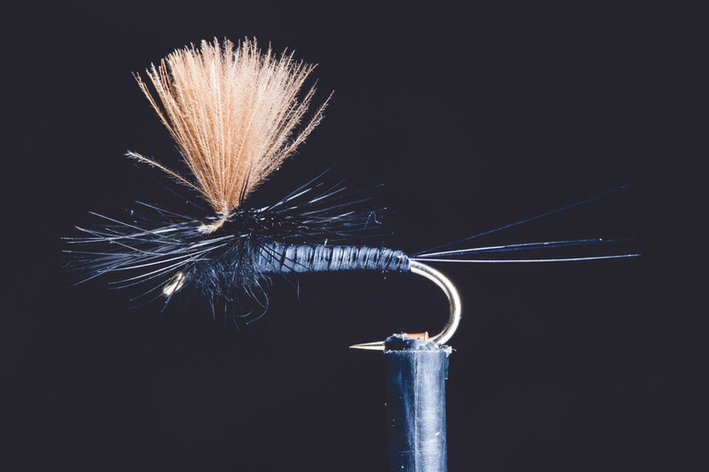 Quill Spinner Black Fishing Fly