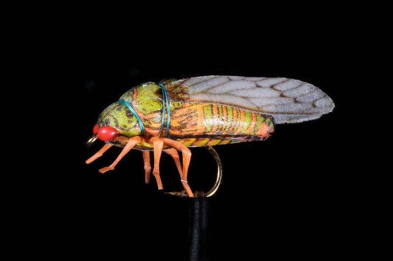 True Cicada Fishing Fly