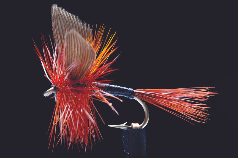 Twighlight Beauty Fishing Fly