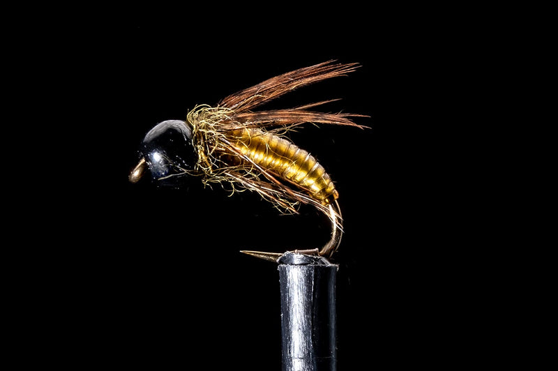 Clearwater Caddis - Green Fishing Fly