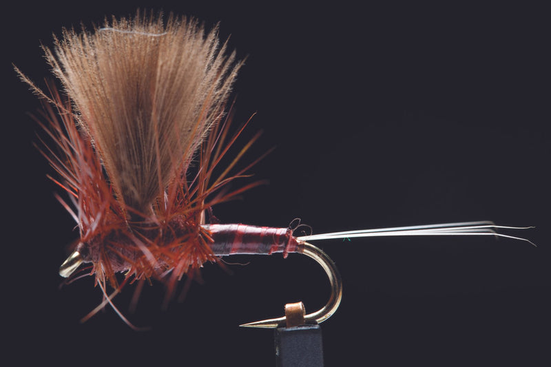 CDC Thorax Dun Dark Fishing Fly